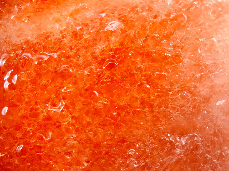 PhoneMicro 5 Tomato under the microscope