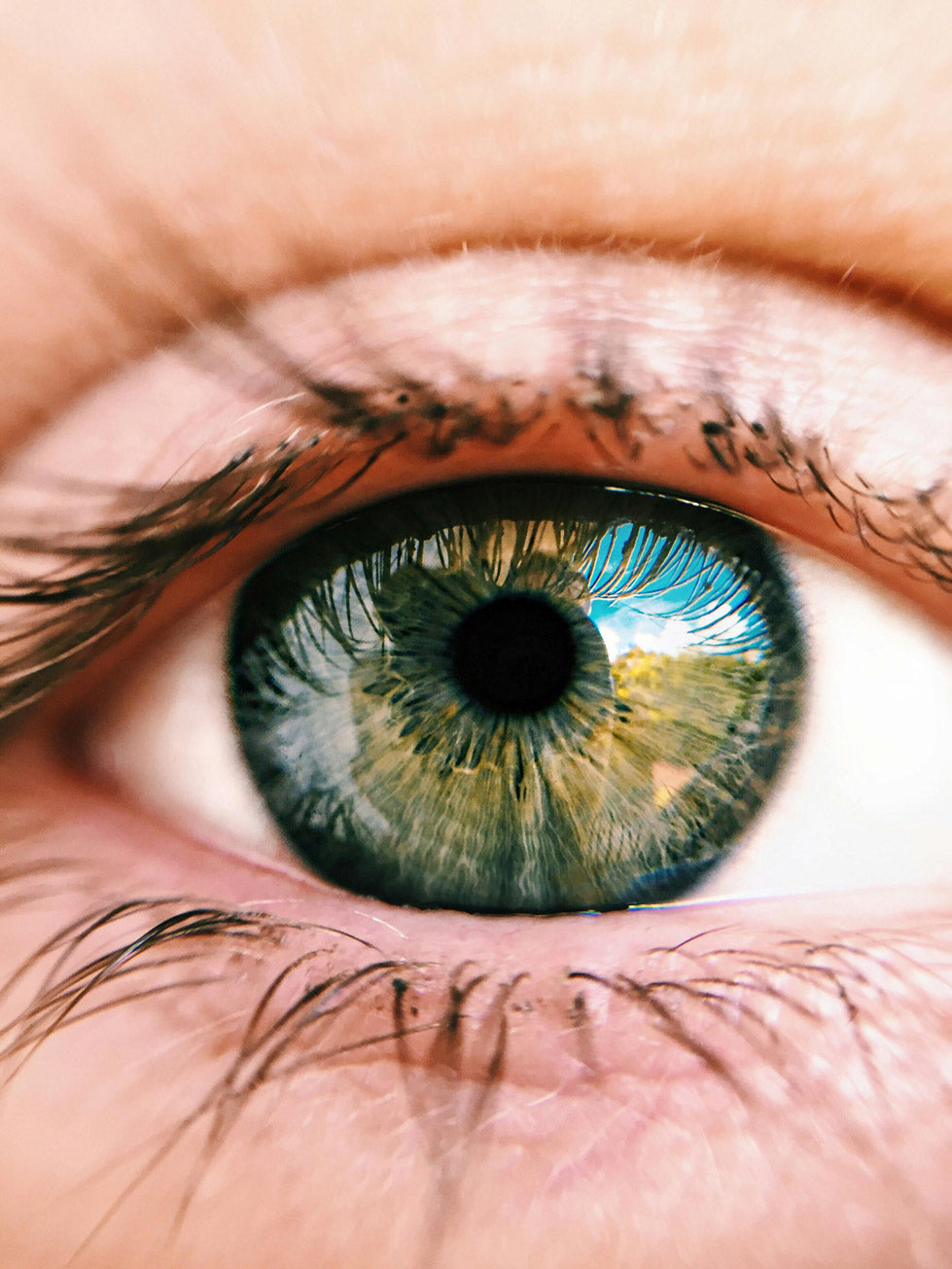 Blue eyes captured with Apexel's 100mm macro lens